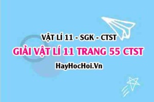Giải Vật lí 11 trang 55 Chân trời sáng tạo SGK
